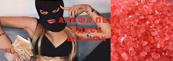 стаф Надым